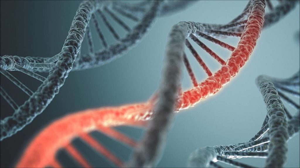 Молекула ДНК может исцелиться при помощи 