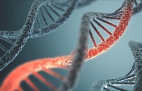 Молекула ДНК может исцелиться при помощи 