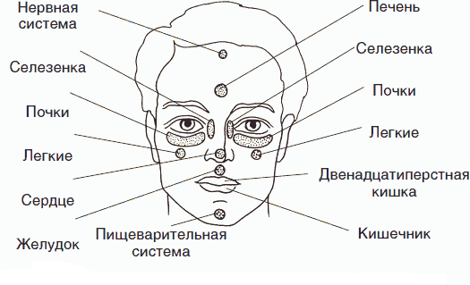 Биологически активные точки