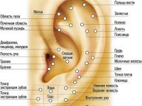 Точечный массаж при нарушении обмена веществ и заболевании кожи