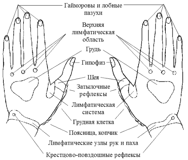 Биологически активные точки