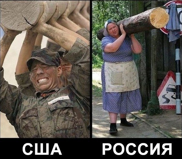 А где же лев?