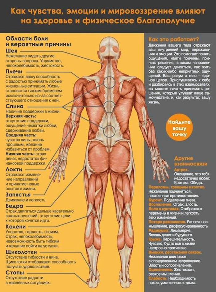 Эмоциональное напряжение и мышечные зажимы